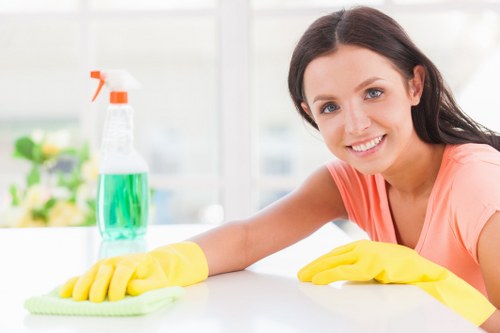 Professional cleaners in Watford at work in a home environment