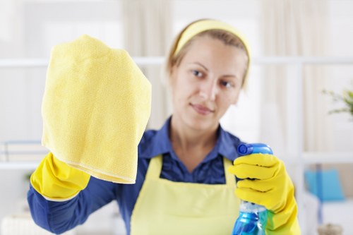 Local domestic cleaning service for Watford homes