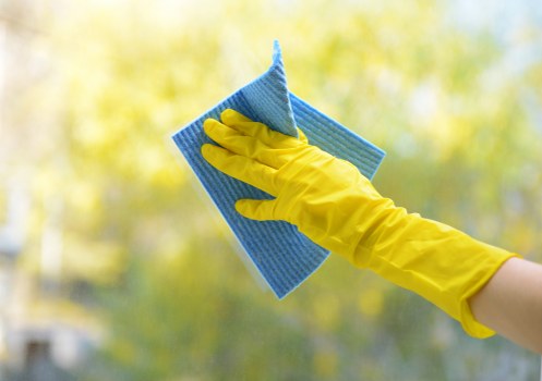 Cleaner inspecting a workspace for hazards before starting a task