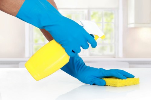 Cleaners Watford staff using protective equipment during a professional cleaning task