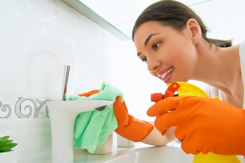 Domestic cleaning for busy households in Watford