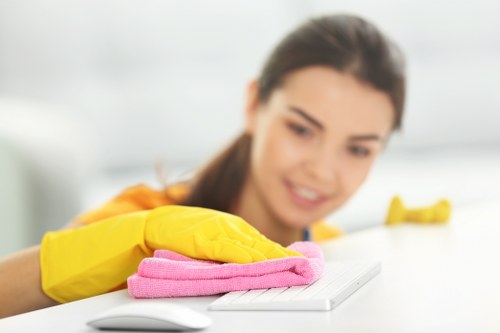 Professional gutter cleaning equipment in use