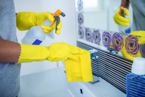 Cleaner removing grease from an oven door glass and frame